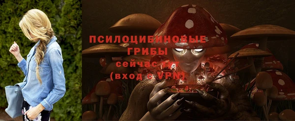 молекула духа Абинск