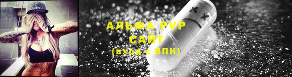твердый Козельск