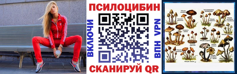 мориарти как зайти  где можно купить наркотик  Алдан  Галлюциногенные грибы Psilocybine cubensis 